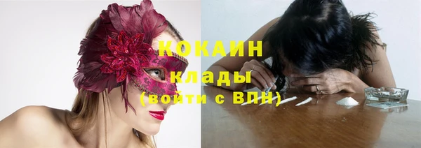 винт Бородино