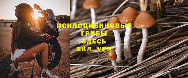 mdpv Богданович