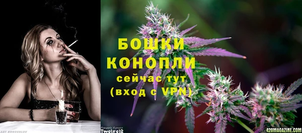 mdpv Богданович